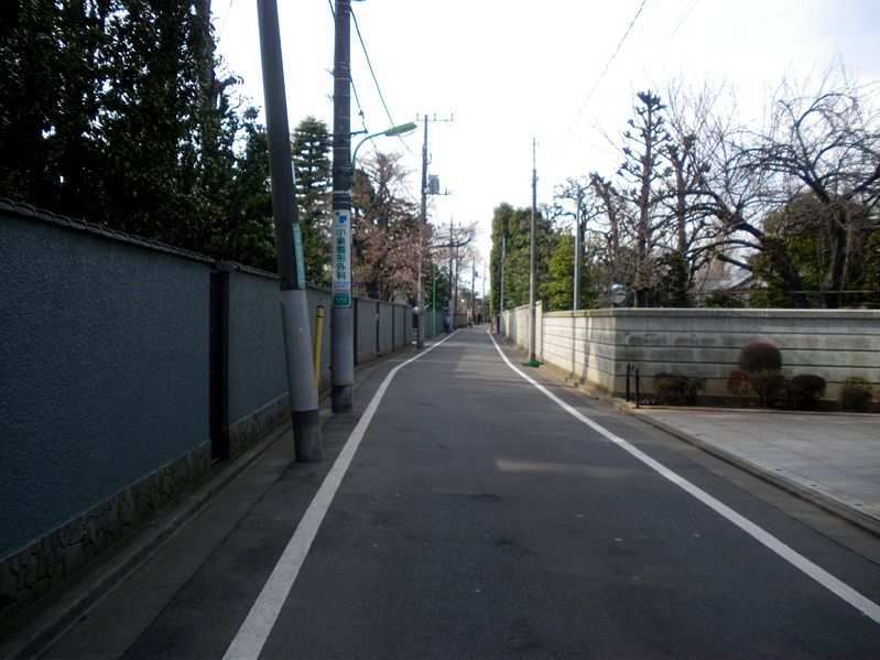 File:Karasuyama teramachi dori street.JPG