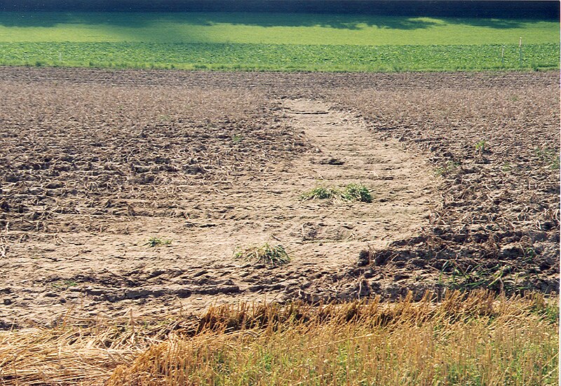 File:Kartoffeln Erosion008.jpg