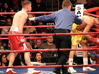 <span class="mw-page-title-main">Kermit Cintrón</span> Puerto Rican boxer