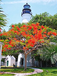 Key West Lighthouse Lighthouse in Florida, United States