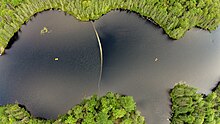 Darker colored water can be seen in the right half of this experiment in a lake, with the giant Secchi disk appearing more brown in color due to higher dissolved organic matter concentrations. Kinwamakwad Secchi Disks.jpg