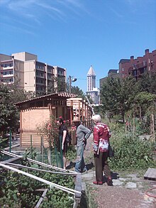 Seattle City Council member Sally Bagshaw visiting the garden KobeTerracePark (14114946695).jpg