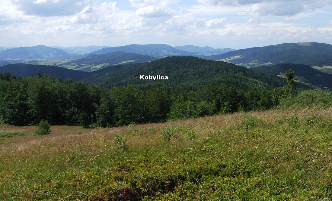 Kiczora (Beskid Wyspowy)