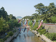 『夙川鯉のぼり』、阪急夙川駅付近から浜夙川橋にかけて行われる