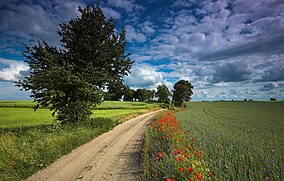 Крайна пейзаж Poland.jpg