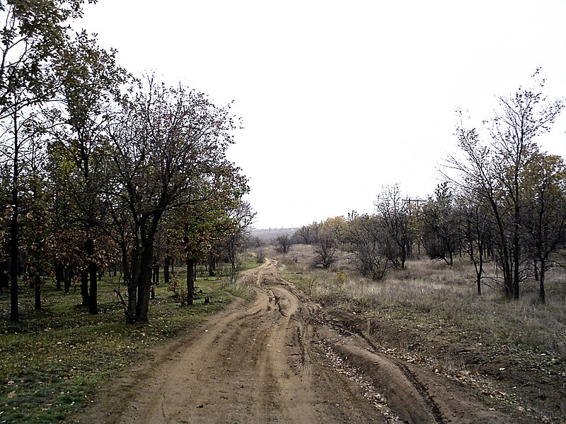 File:Krasnodon, Luhans'ka oblast, Ukraine - panoramio (6).jpg