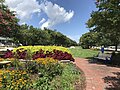 LP Willingham Waterfront Park (Jacksonville)