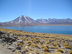 La Laguna Miscanti et le Cerro Miscanti.
