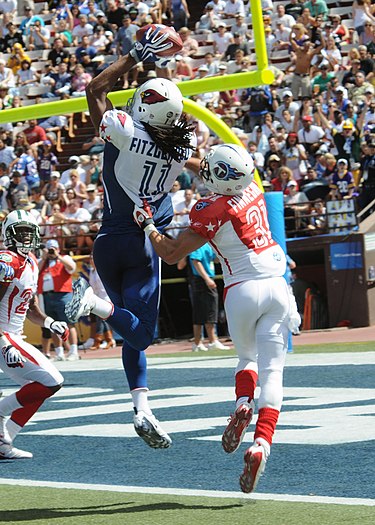 Larry Fitzgerald catches TD at 2009 Pro Bowl.jpg