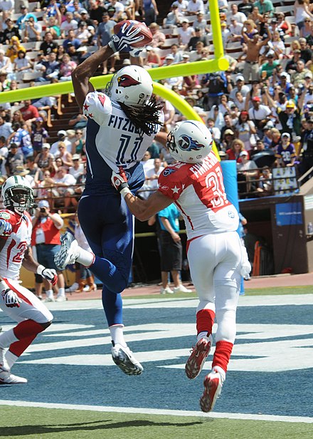 Fitzgerald catches a touchdown at the 2009 Pro Bowl