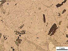 Photomicrograph of thin section of latite (in plane polarised light) Latite nicol parallei.jpg