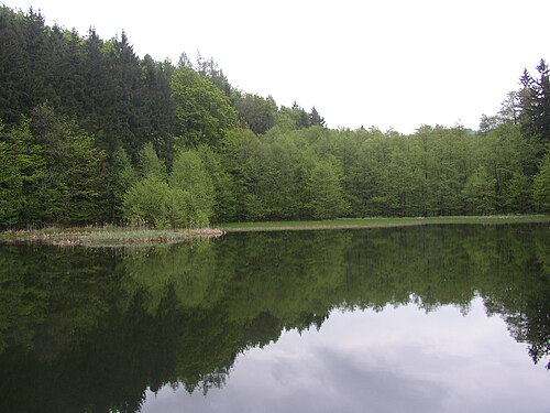 Pond in Bohemia
