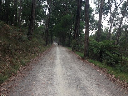 How to get to Mount Evelyn with public transport- About the place