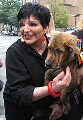 Liza Minnelli als Jurorin in einer Hundeshow (2006)