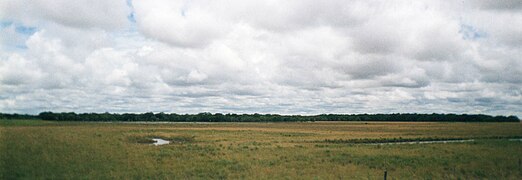 Raven, obsežen Llanos