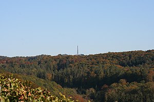 The Stocksberg near Löwenstein in the FFH area "Löwensteiner und Heilbronner Berge", 2007