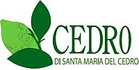 Cedro di Santa Maria del Cedro