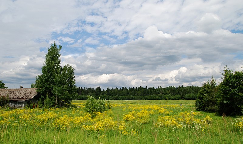 File:Lomonosovsky District, Leningrad Oblast, Russia - panoramio (8).jpg