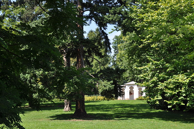 File:Městský-park-Chrudim2012c.jpg