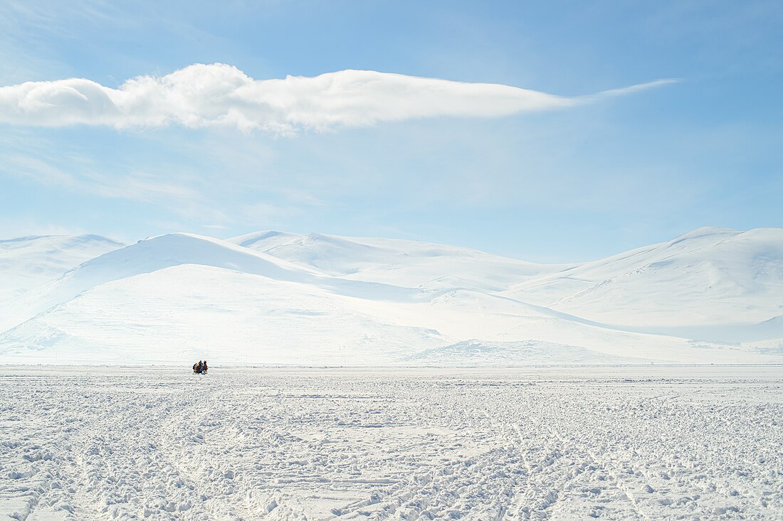 Ardahan Province