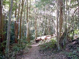 Nationaal park Macquarie Pass