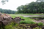 Marshlands Conservancy