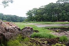 Marshlands Conservancy, Rye.jpg