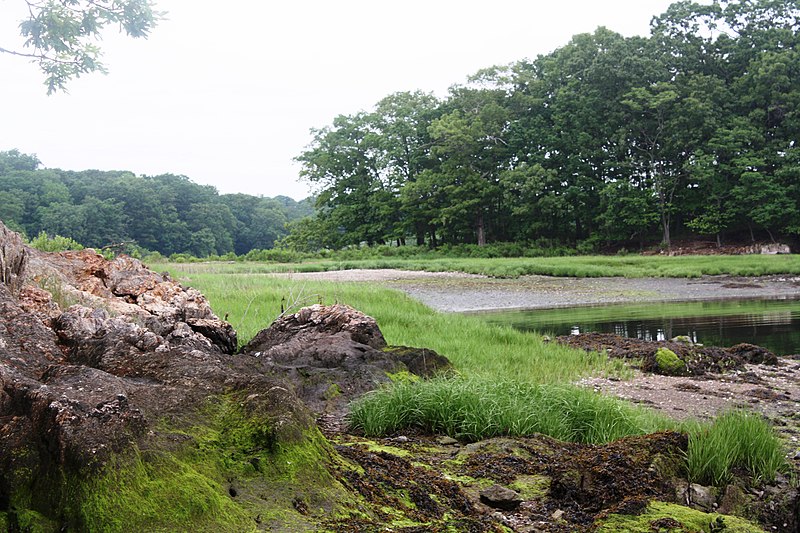 File:Marshlands Conservancy, Rye.jpg