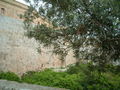 Fortifications of walled city of Mdina