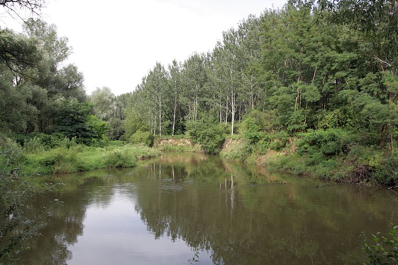 File:Medlov - zátočina Jihlavy u Medlovského mlýna.jpg