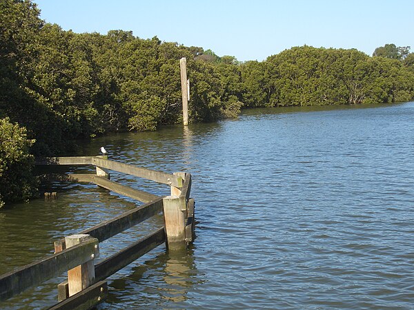 The Parramatta River at Melrose Park