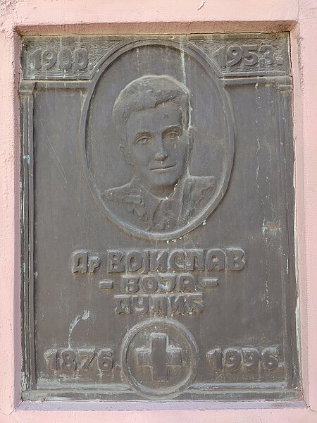 File:Memorial plaque dedicated to doctor Vojislav Dulić.jpg