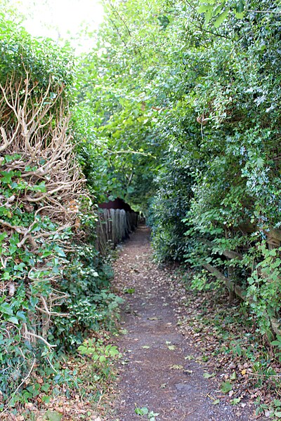 File:Mere Lane - Poll Hill footpath at Mere Lane 2.jpg