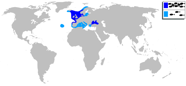 Mapa występowania