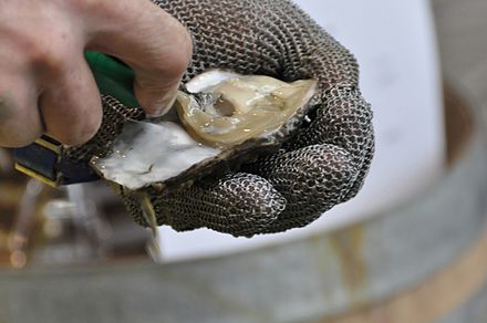 Oyster glove Messe Slow Food 2012 by-RaBoe-221.jpg