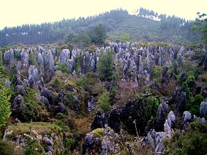 Mina de Hierro - Monte Vizmaya (Cantabria).JPG