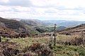 Moel y Gaer, Llantysilio Mountains SSSI and Special Areas of Conservation in Wales - 2021 02.jpg