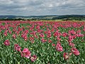 Vorschaubild der Version vom 23:06, 29. Mai 2018