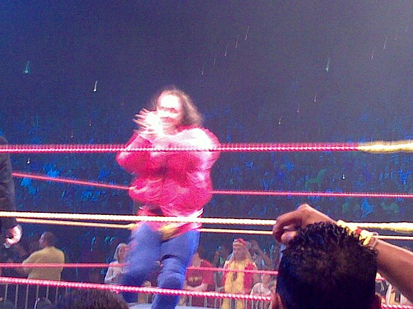 Dinsmore at the Hulkamania: Let The Battle Begin Tour in 2009