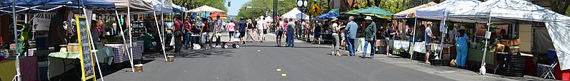 File:Moscow Idaho Banner.JPG