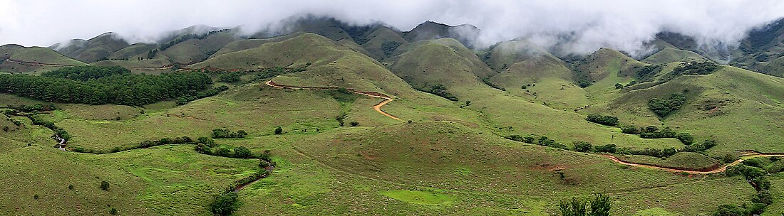 File:Mukurthi-National-Park.jpg