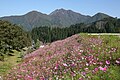 2012年3月10日 (土) 12:27時点における版のサムネイル