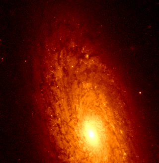 <span class="mw-page-title-main">NGC 2090</span> Spiral galaxy in the constellation Columba