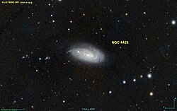 NGC 4428-1