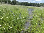 Naturschutzgebiet Eskesberg