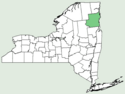 Nabalus boottii NY-dist-map.png