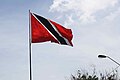 National Flag of Trinidad & Tobago closeup.jpg