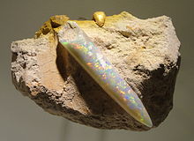 Neohibolites sp., opalized belemnite, Akhir periode Cretaceous, Coober Pedy Pembentukan, Coober Pedy, South Australia - Houston Museum of Natural Science - DSC01937.JPG