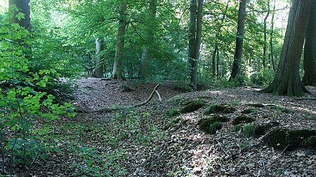 Niederungsburg in Harpstedt