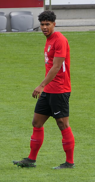 <span class="mw-page-title-main">Niklas Sommer</span> German footballer